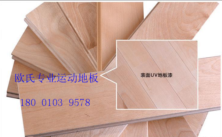 歐氏地板--體育木地板場地驗(yàn)收技術(shù)標(biāo)準(zhǔn)