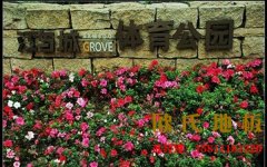 夏天炎熱雨季來臨，專業(yè)運動木地板該怎樣維護