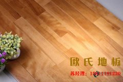 舞臺木地板的應(yīng)用