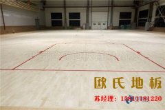 楓木運動木地板的優(yōu)點劃分